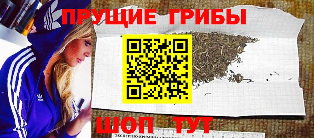 Гусиноозёрск  Галлюциногенные грибы Magic Shrooms  Вход с VPN 